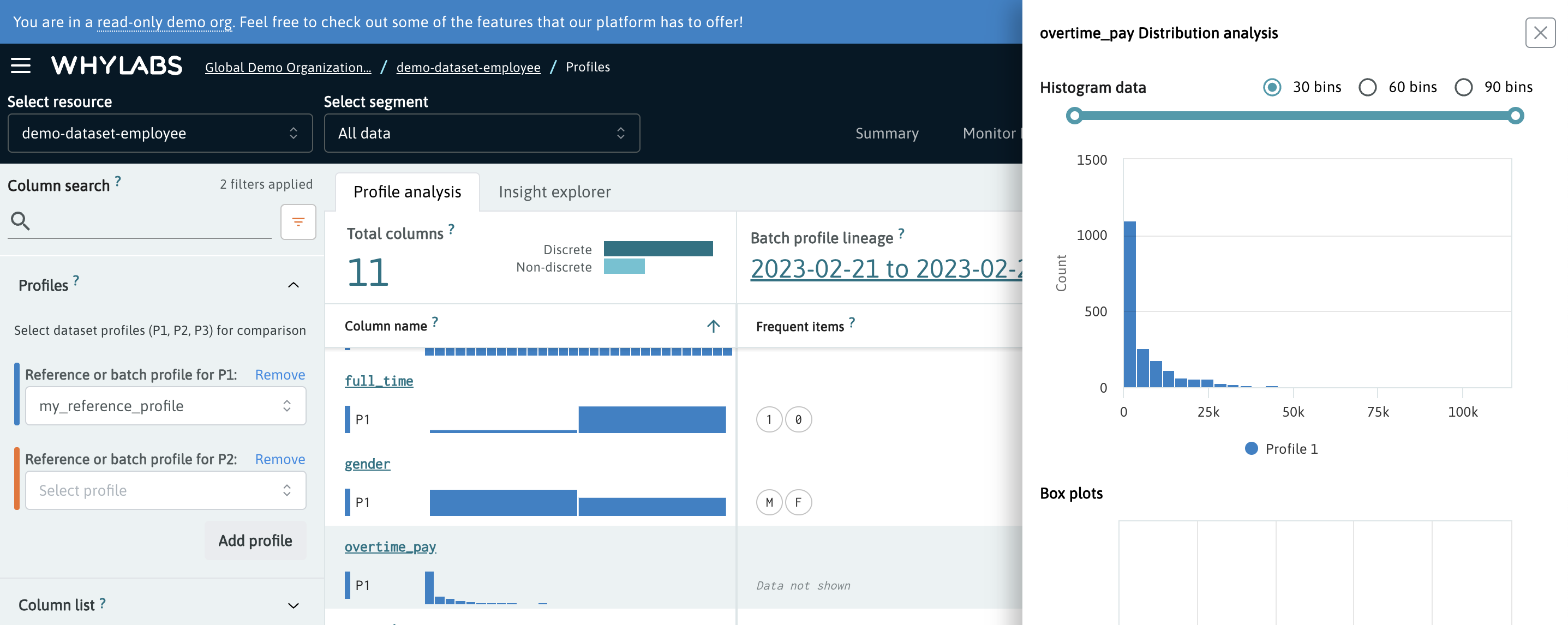 WhyLabs Profile Page